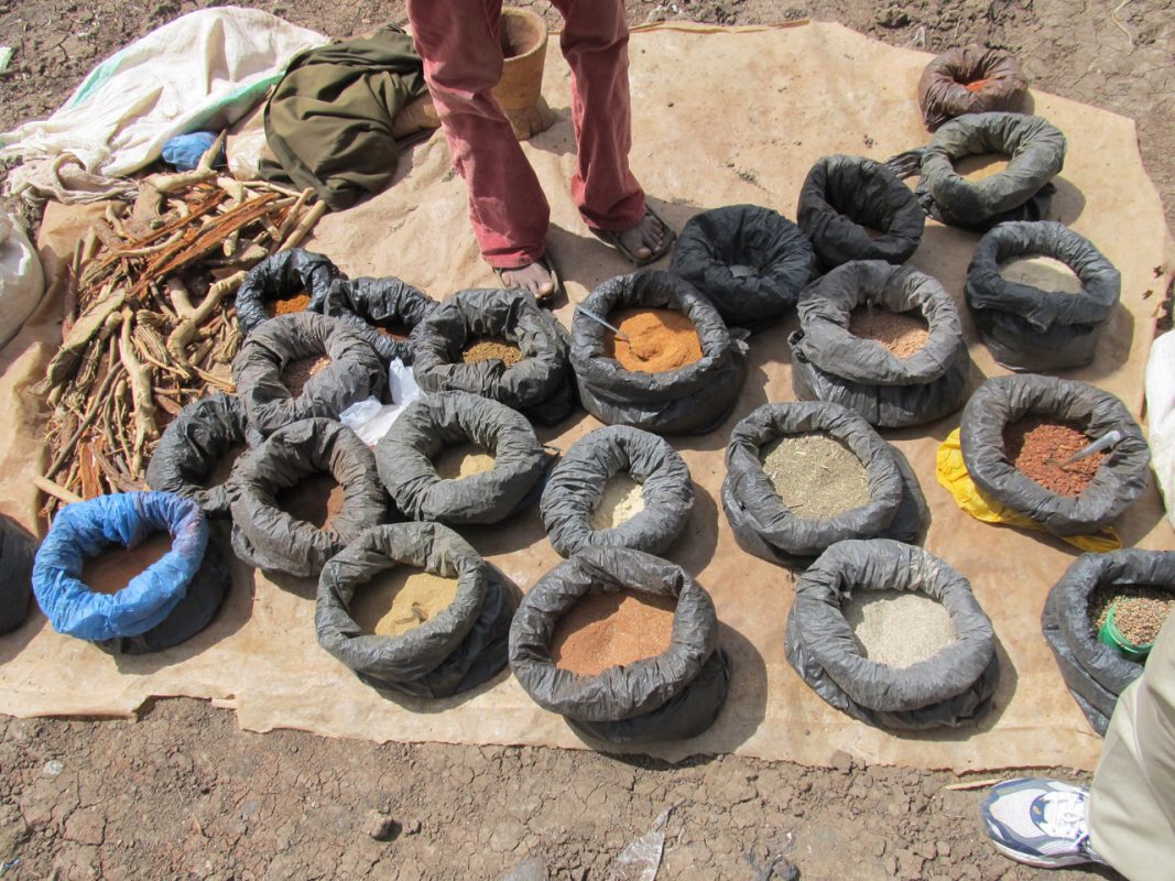 Article : 5 challenges pour le d&eacute;veloppement de la m&eacute;decine dite traditionnelle en Afrique