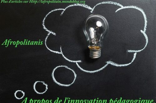 Article : A propos de l’innovation pédagogique !