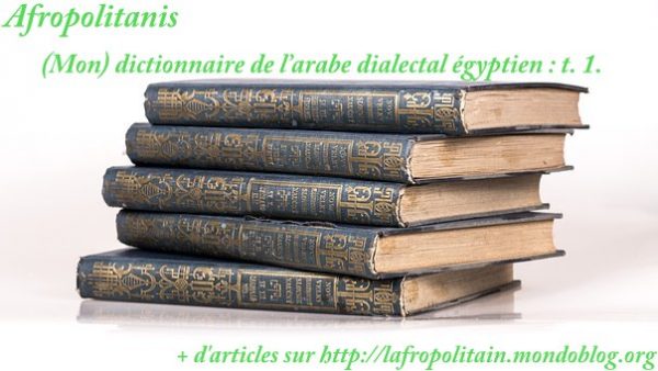 Article : (Mon) dictionnaire de l’arabe dialectal égyptien : tome 1.