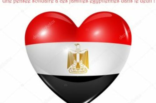 Article : « Ana Masry », une pensée solidaire à ces victimes égyptiennes du 24 Novembre 2017 !
