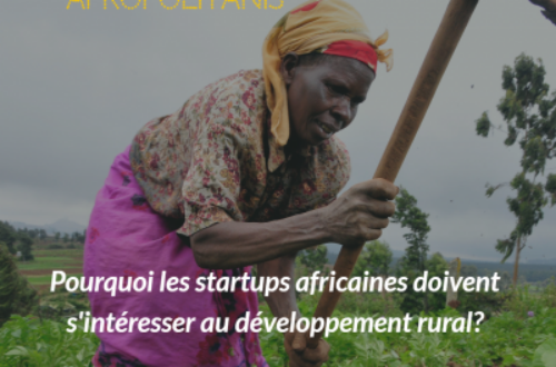Article : Pourquoi les startups africaines doivent s’intéresser au développement rural?