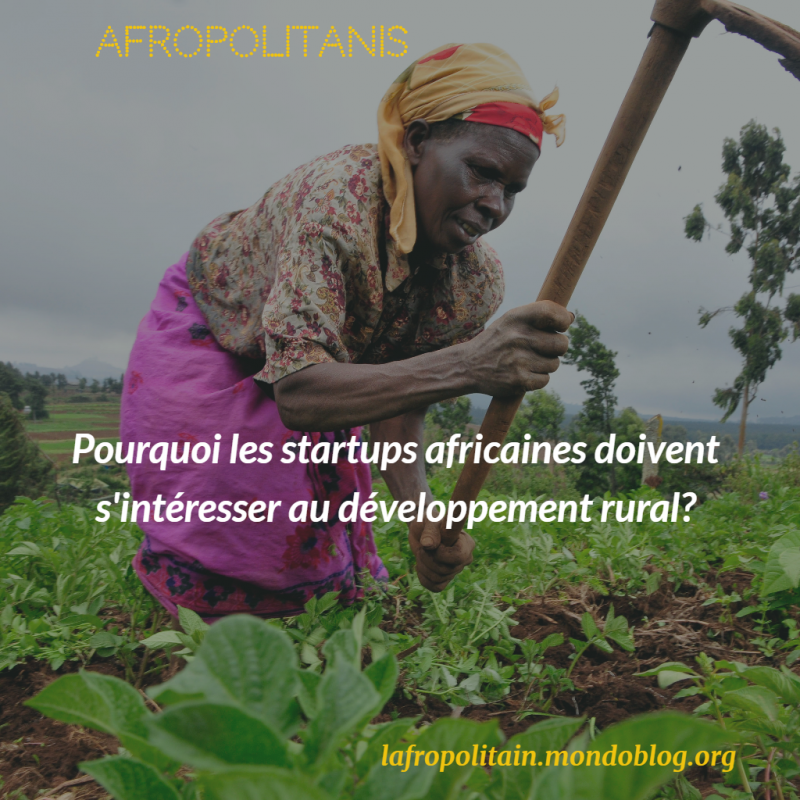 Article : Pourquoi les startups africaines doivent s’intéresser au développement rural?