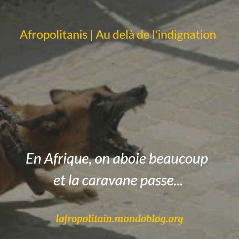 Article : Pourquoi les élites africaines ne font qu’aboyer sans mordre depuis l’insulte raciste de Donald Trump ?