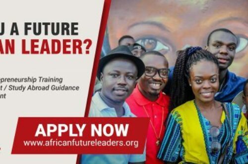 Article : Apply NOW for the African Future Leaders Fellowship (Cohort 2)