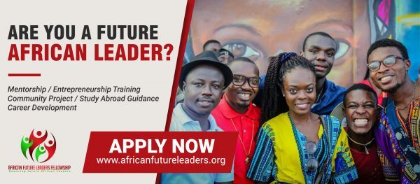 Article : Apply NOW for the African Future Leaders Fellowship (Cohort 2)